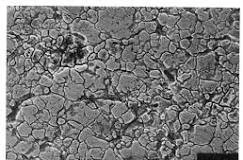 Intergranular corrosion Intergranular corrosion
